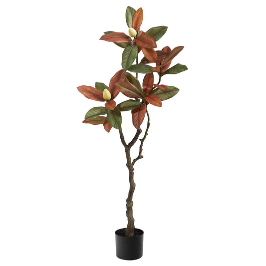 a potted plant with leaves