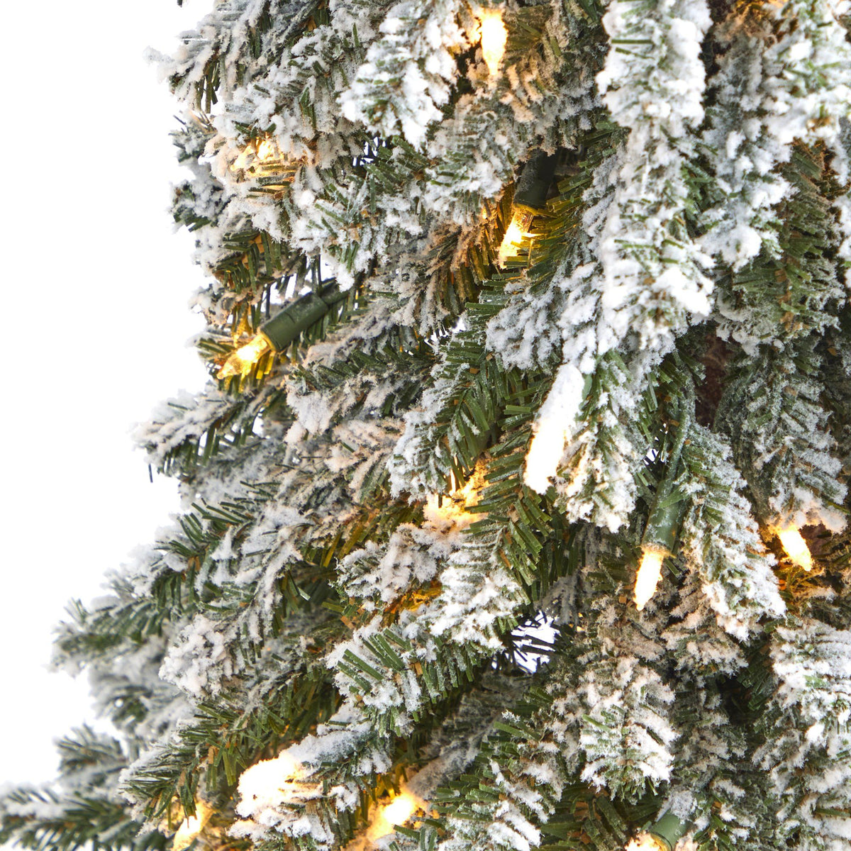a close up of a tree with snow and lights