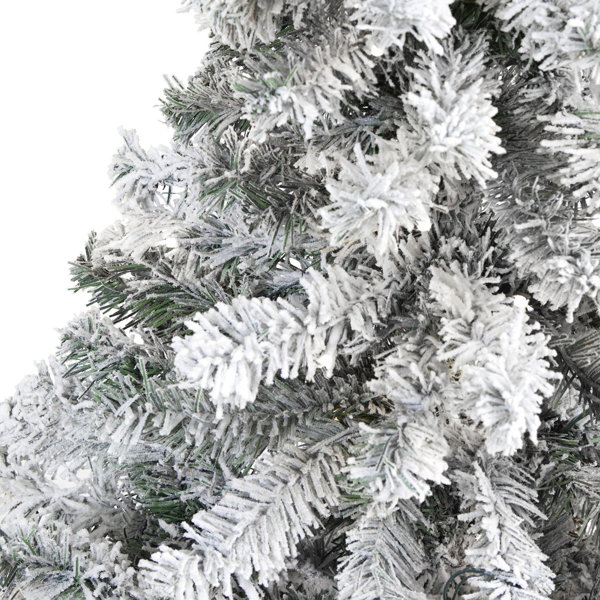 a close up of a tree