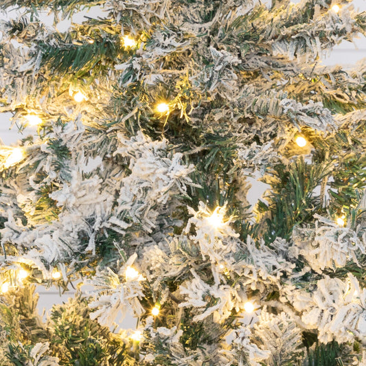a close up of a christmas tree