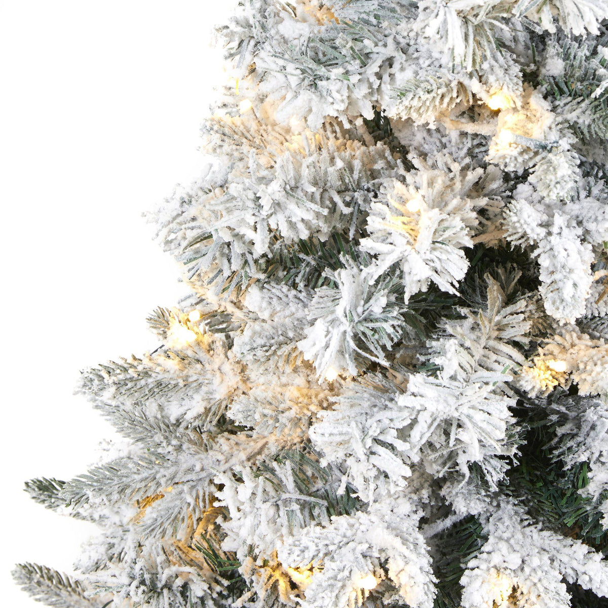a close up of a tree