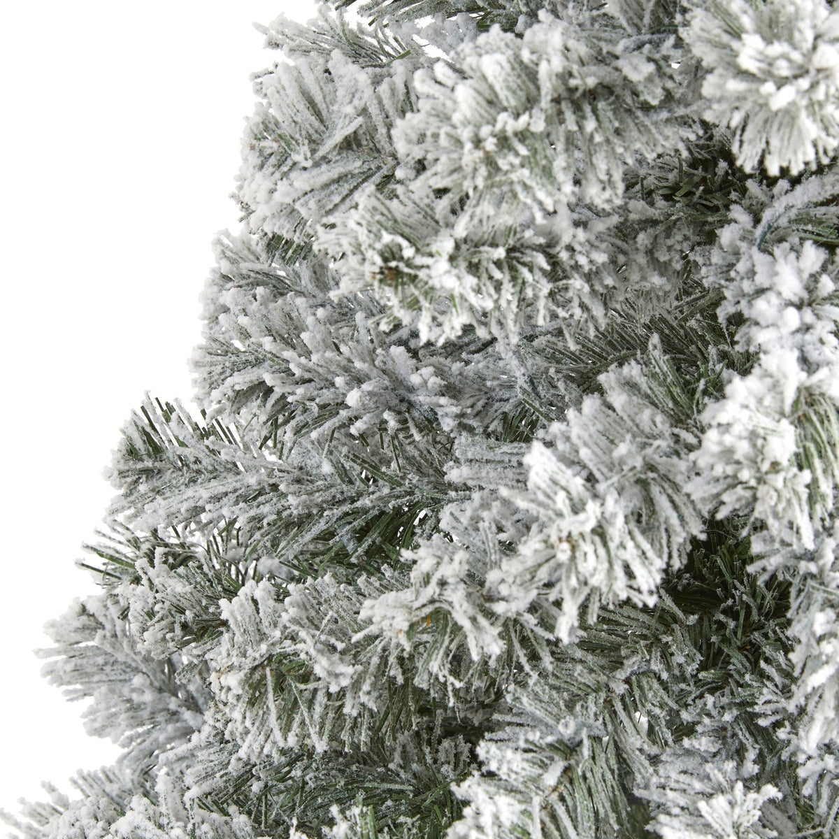 a close up of a tree