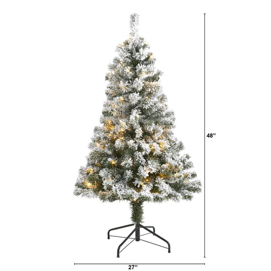 a christmas tree with lights