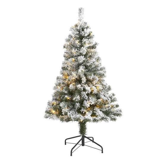 a christmas tree with lights