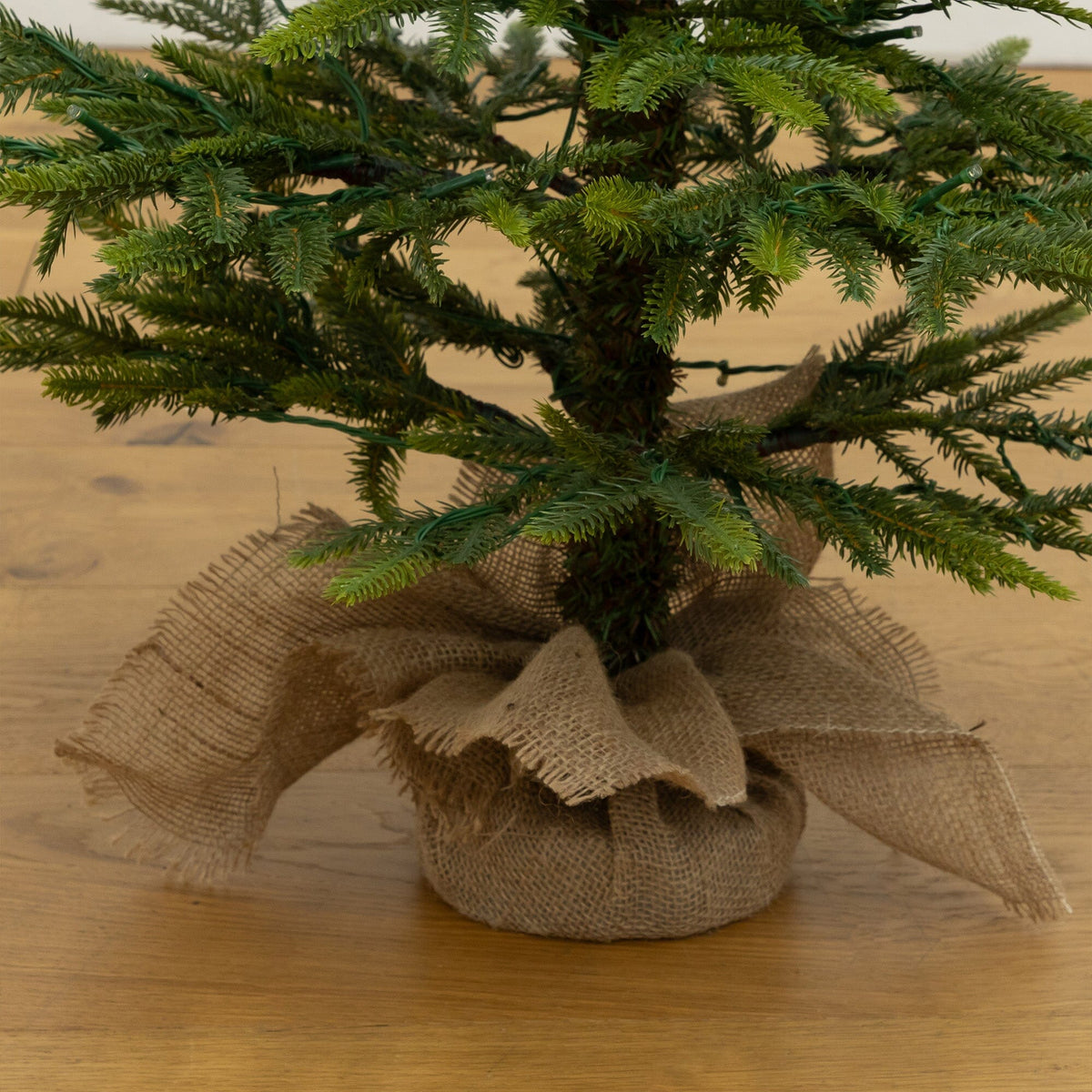 a small tree with burlap wrapped around it