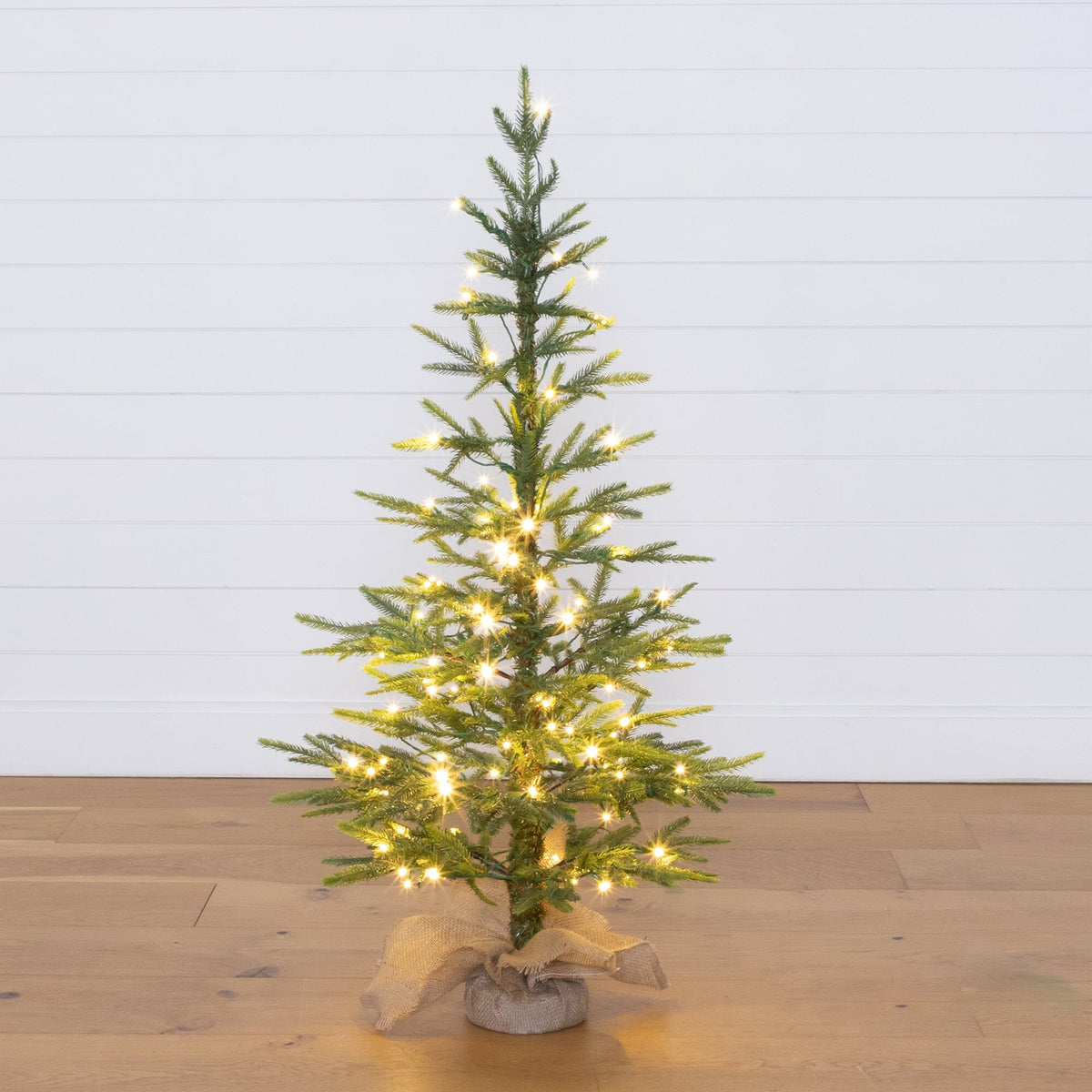 a small christmas tree with lights