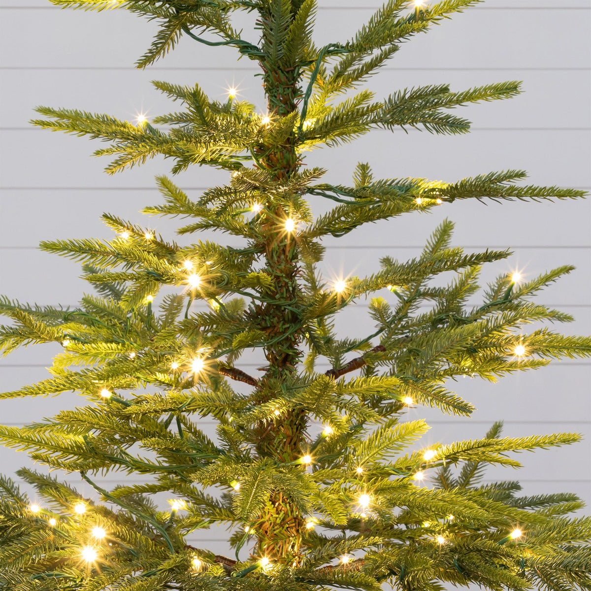 a tree with lights on it