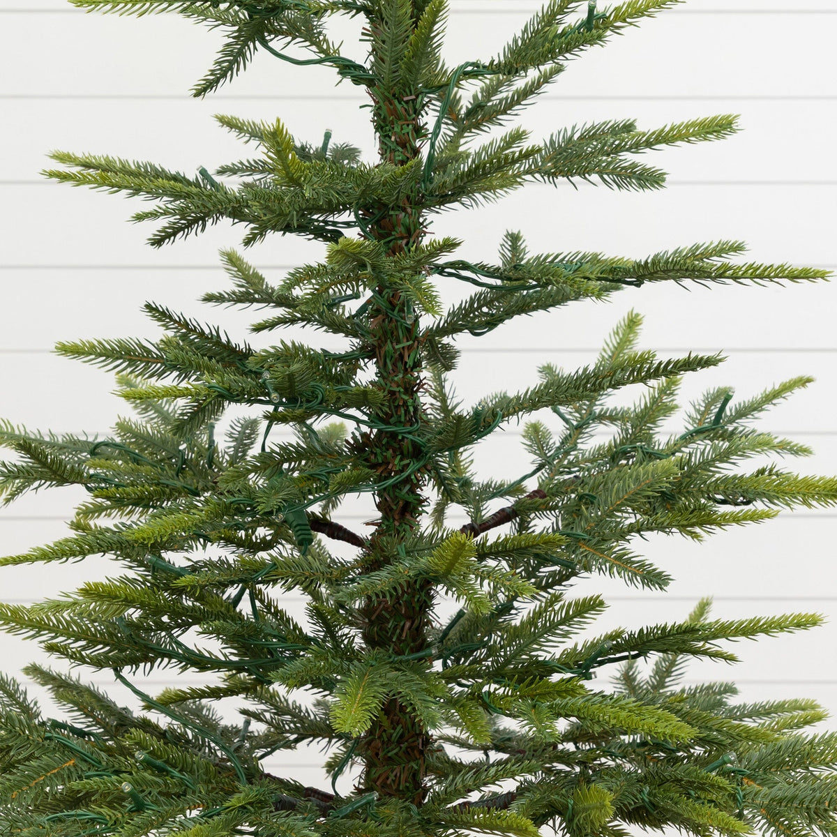 a tree with green needles