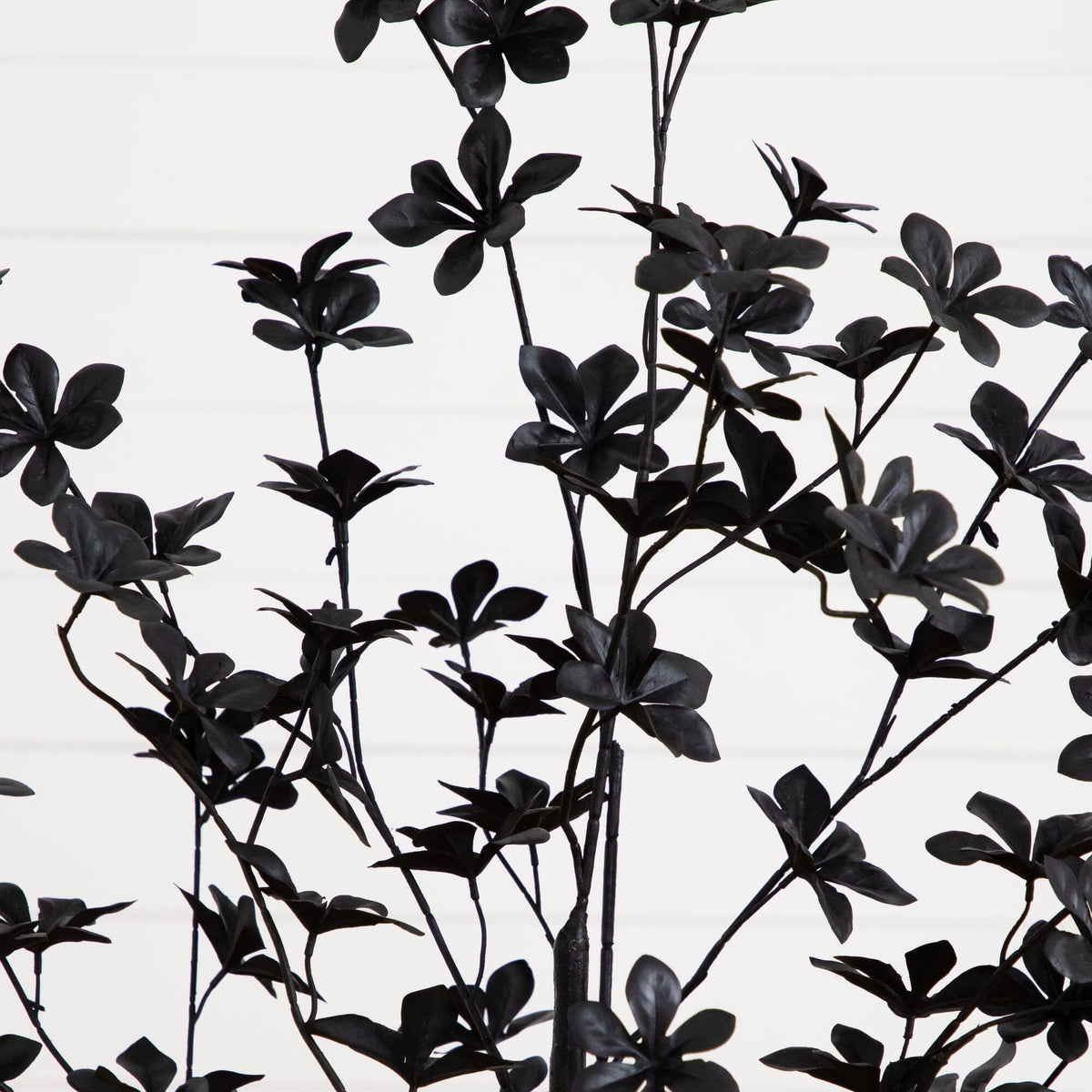 4' Artificial Halloween Black Enkianthus Tree