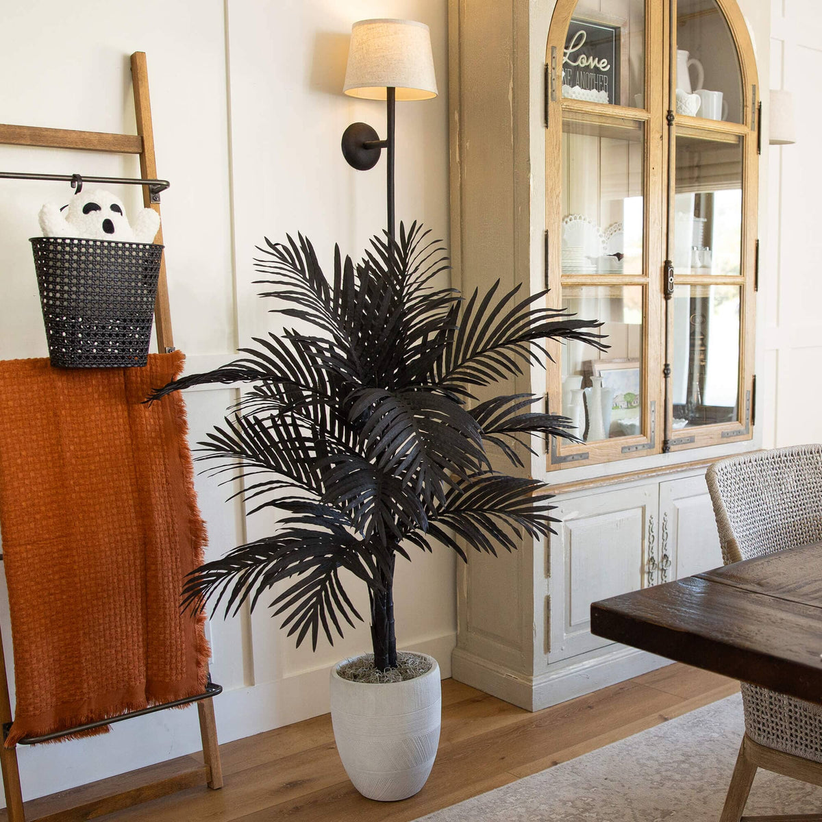 a plant in a pot next to a table