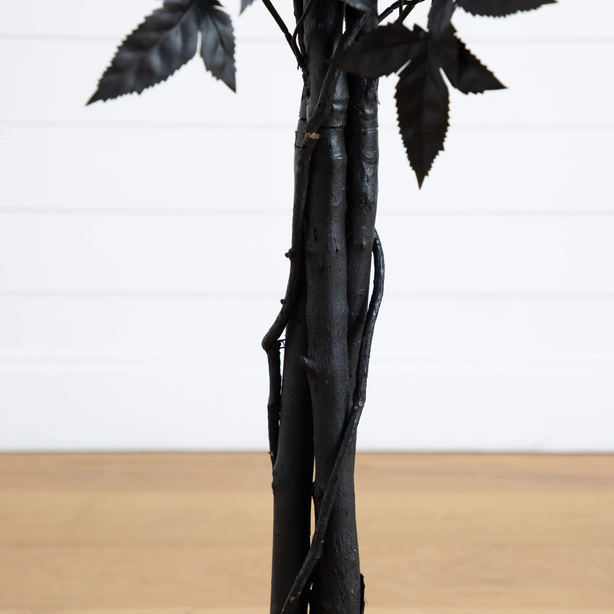a black plant with leaves