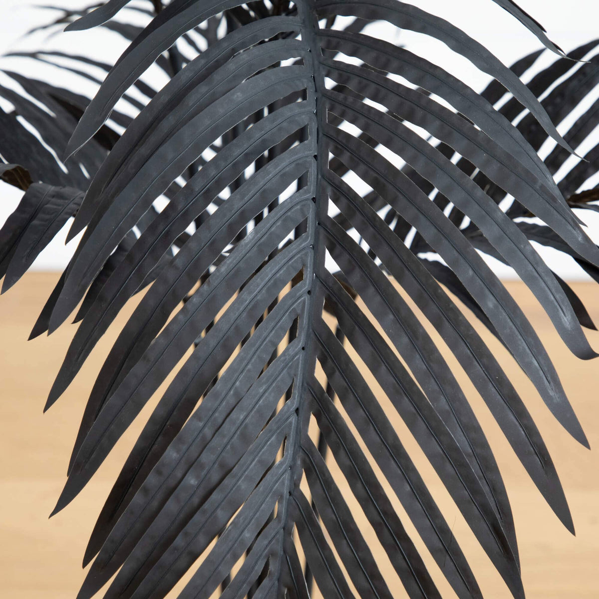 a black leaf on a plant