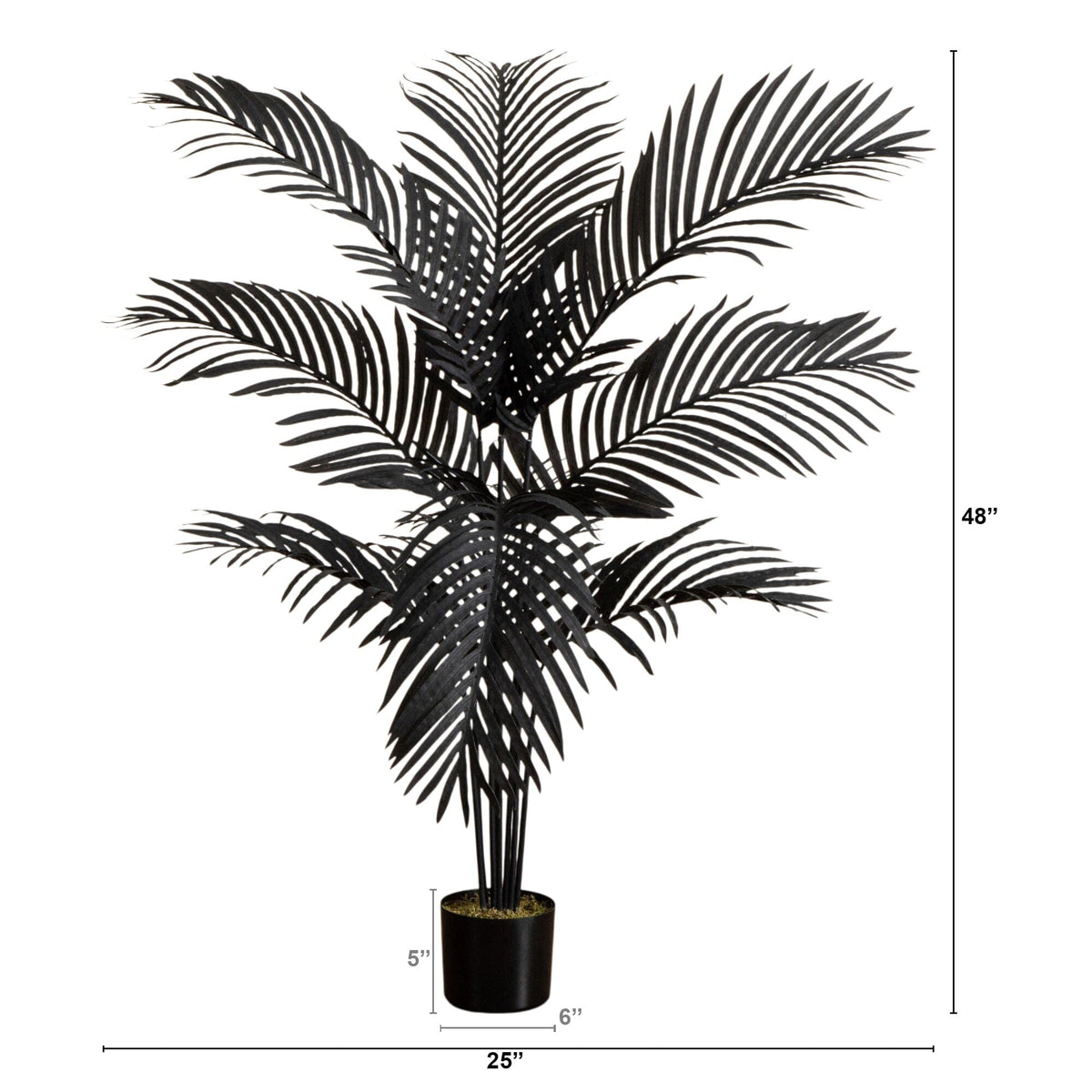 a black plant with a large leaf