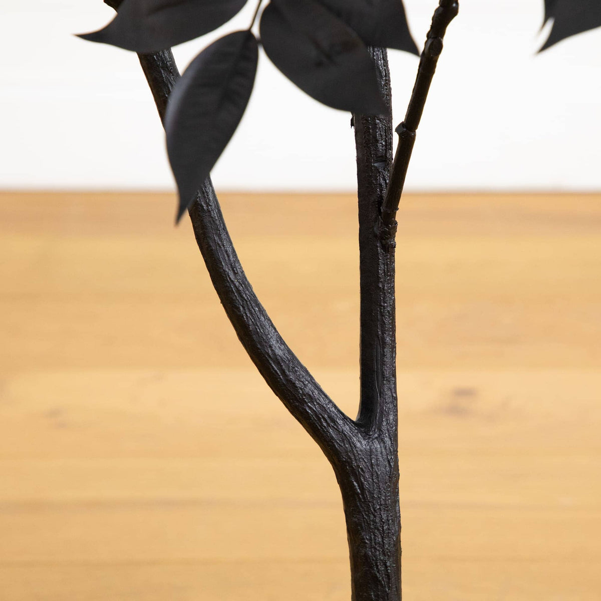 a black plant with leaves on a wooden surface