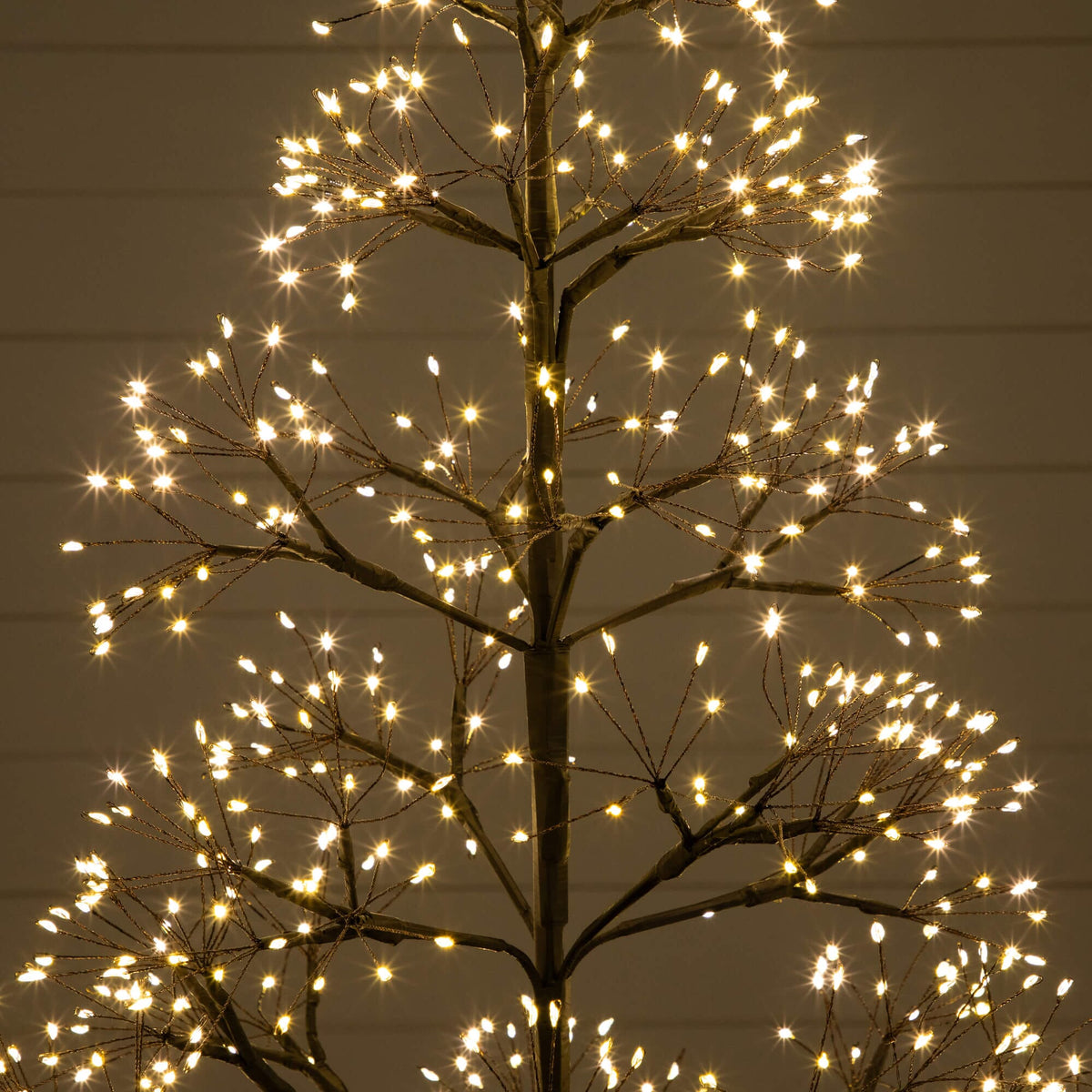a tree with lights on it