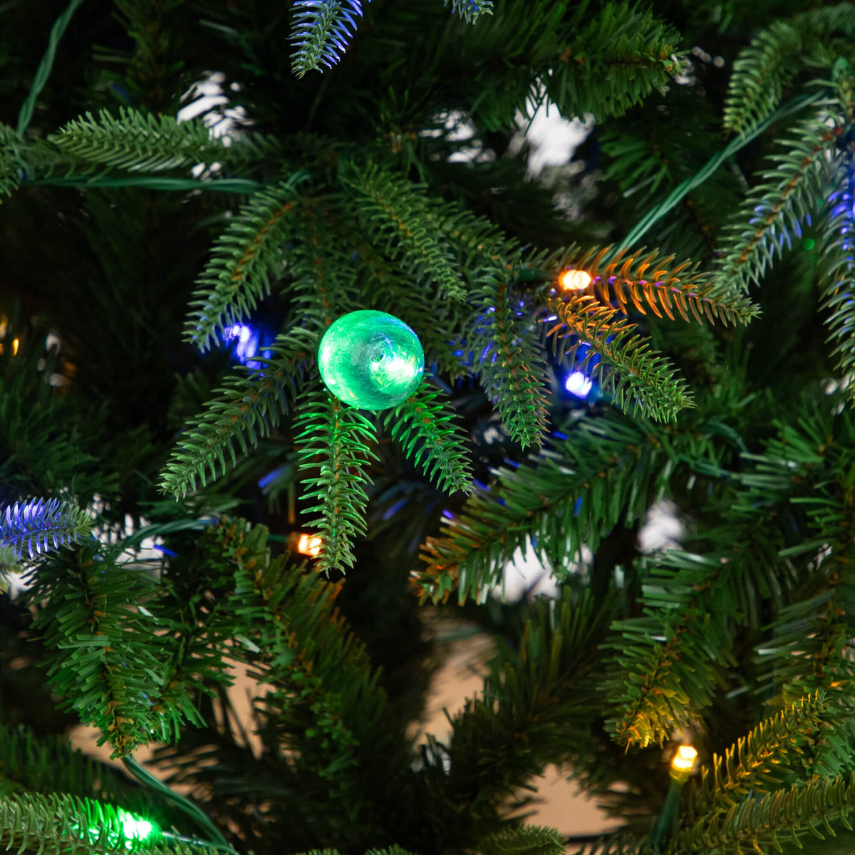 a close up of a tree