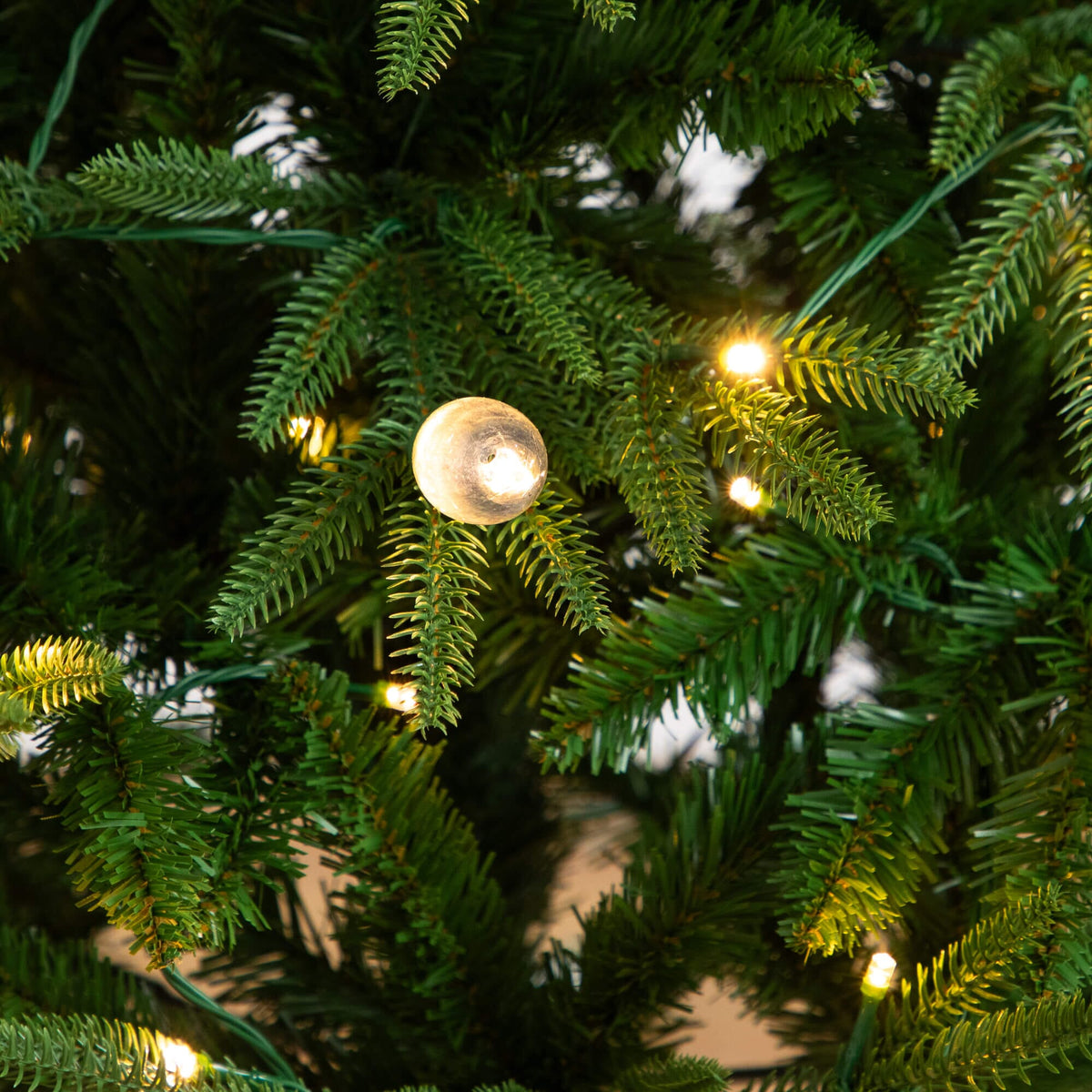 a close up of a tree