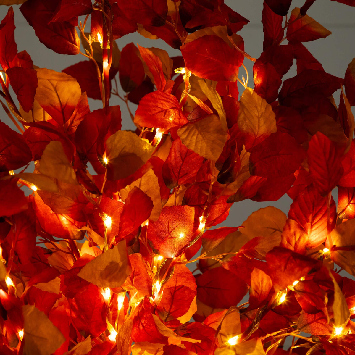 a close up of a plant with lights