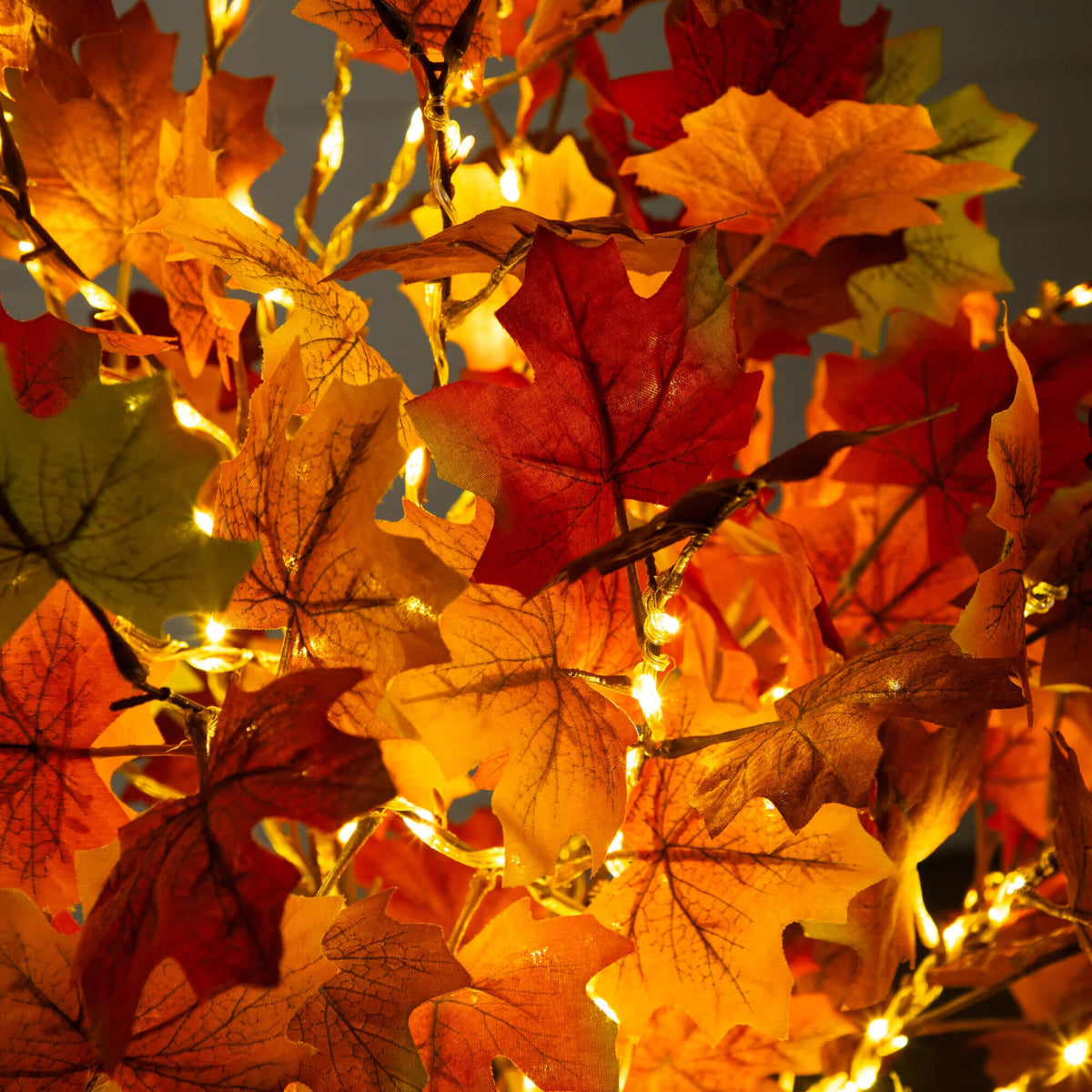 a tree with lights and leaves