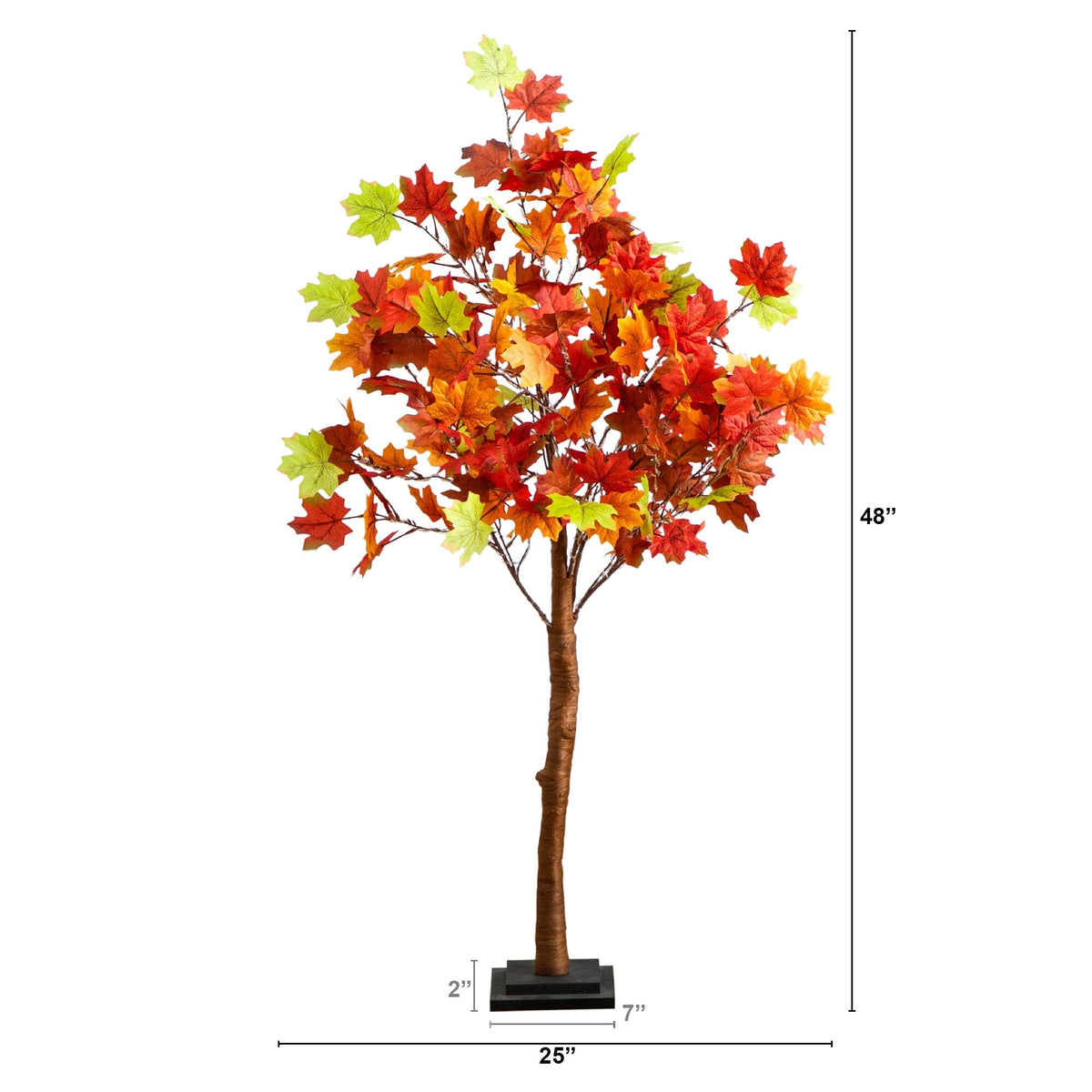 a tree with leaves and a height of a tree