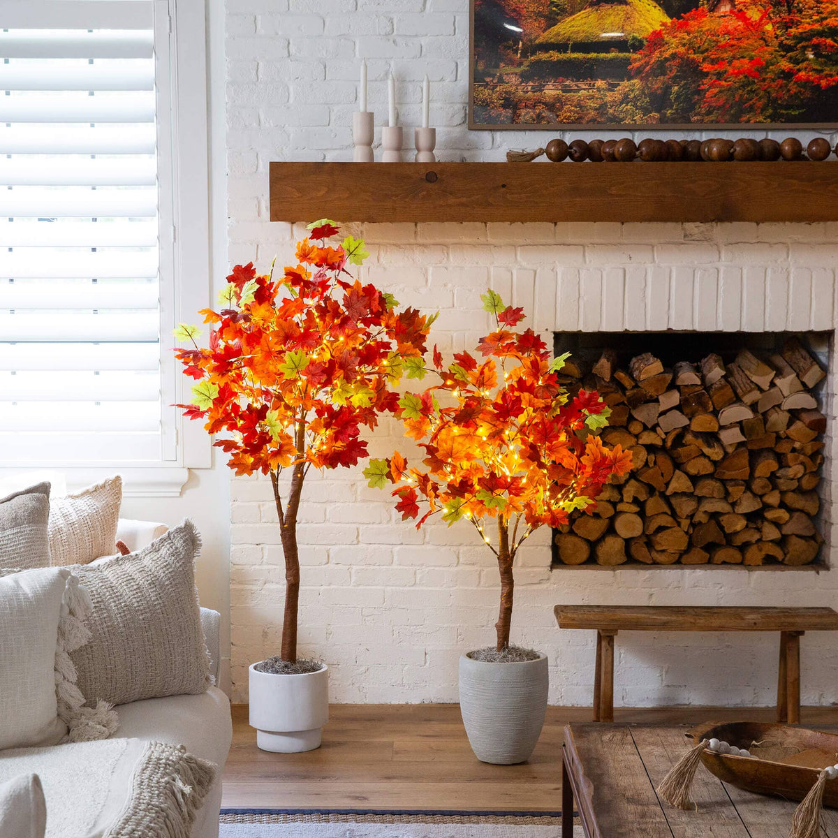 two trees in a room