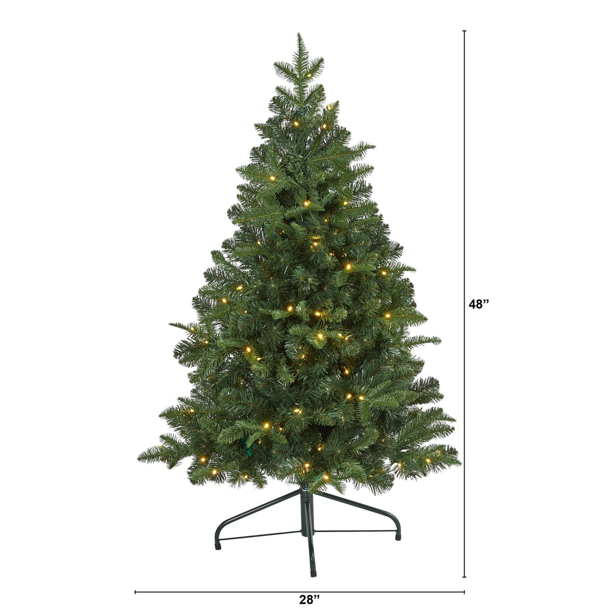 a tree with lights and a height of the size of it