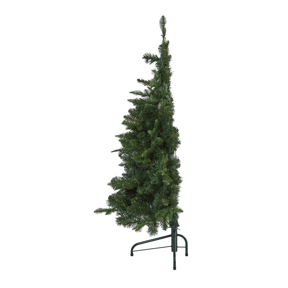 a tree with a thin stem