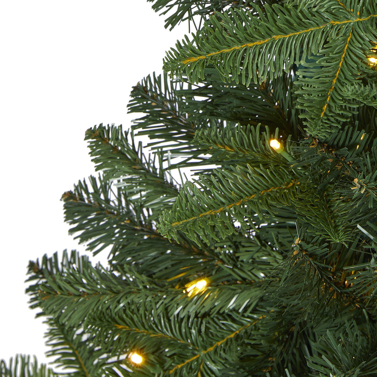 a close up of a christmas tree