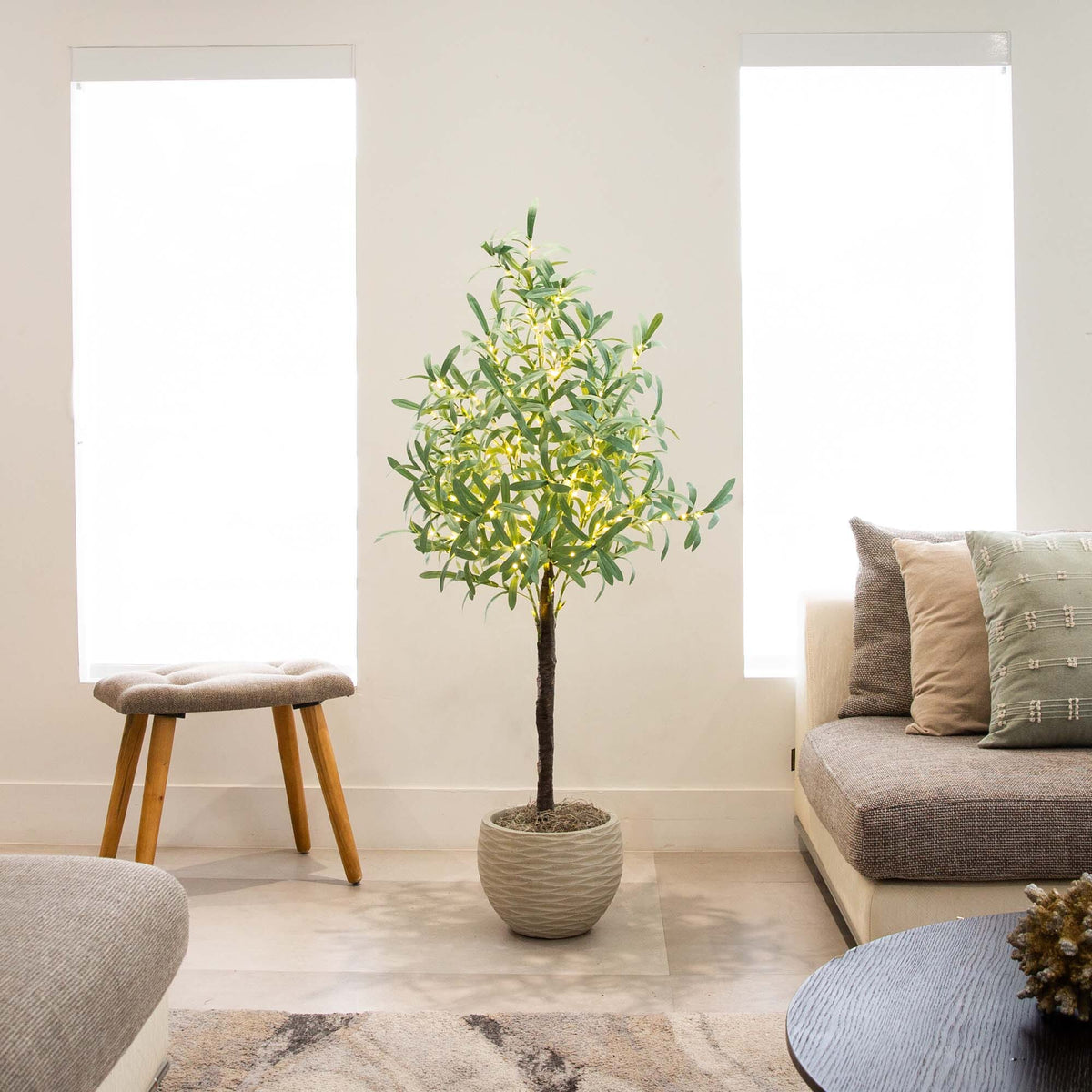a plant in a pot in front of a couch