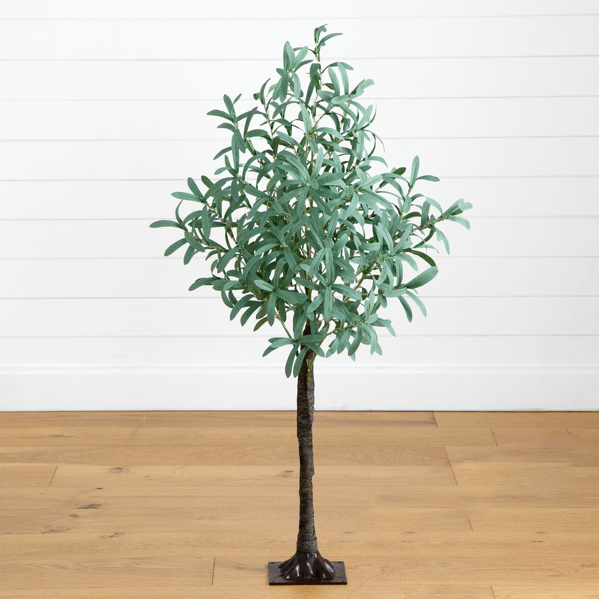a tree on a wood floor