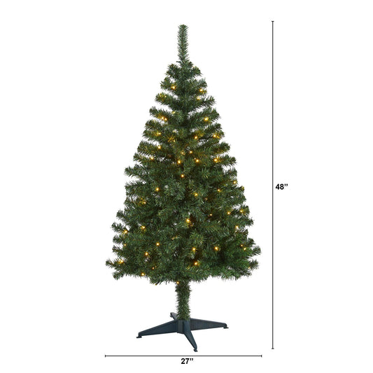 a christmas tree with lights