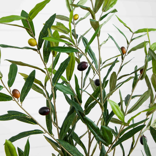 a plant with leaves and fruits