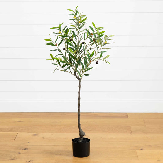 a small tree in a pot