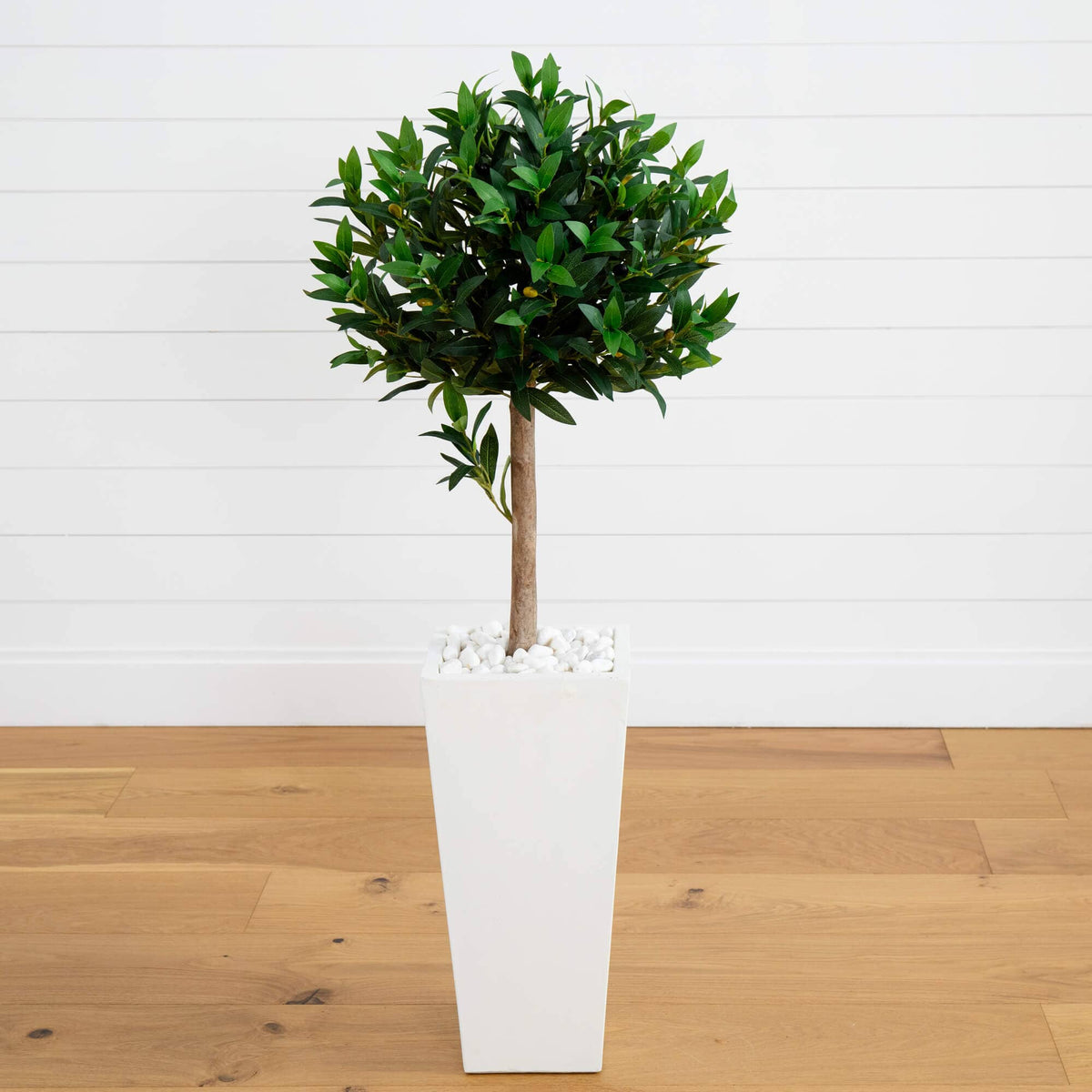 a potted plant in a white pot