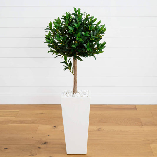 a potted plant in a white pot