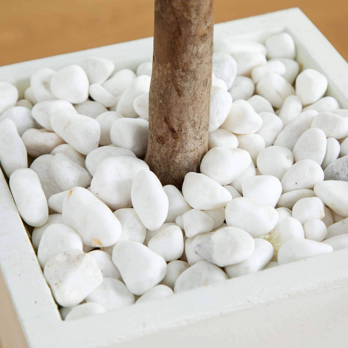 a white square pot with a tree trunk in it