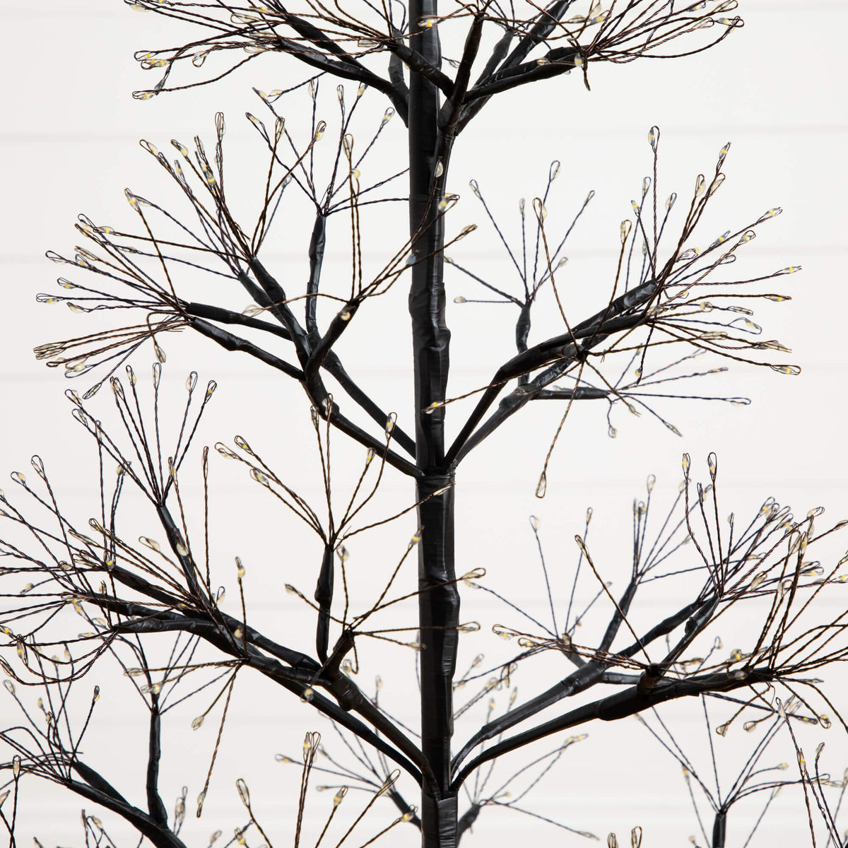 a tree with lights on it