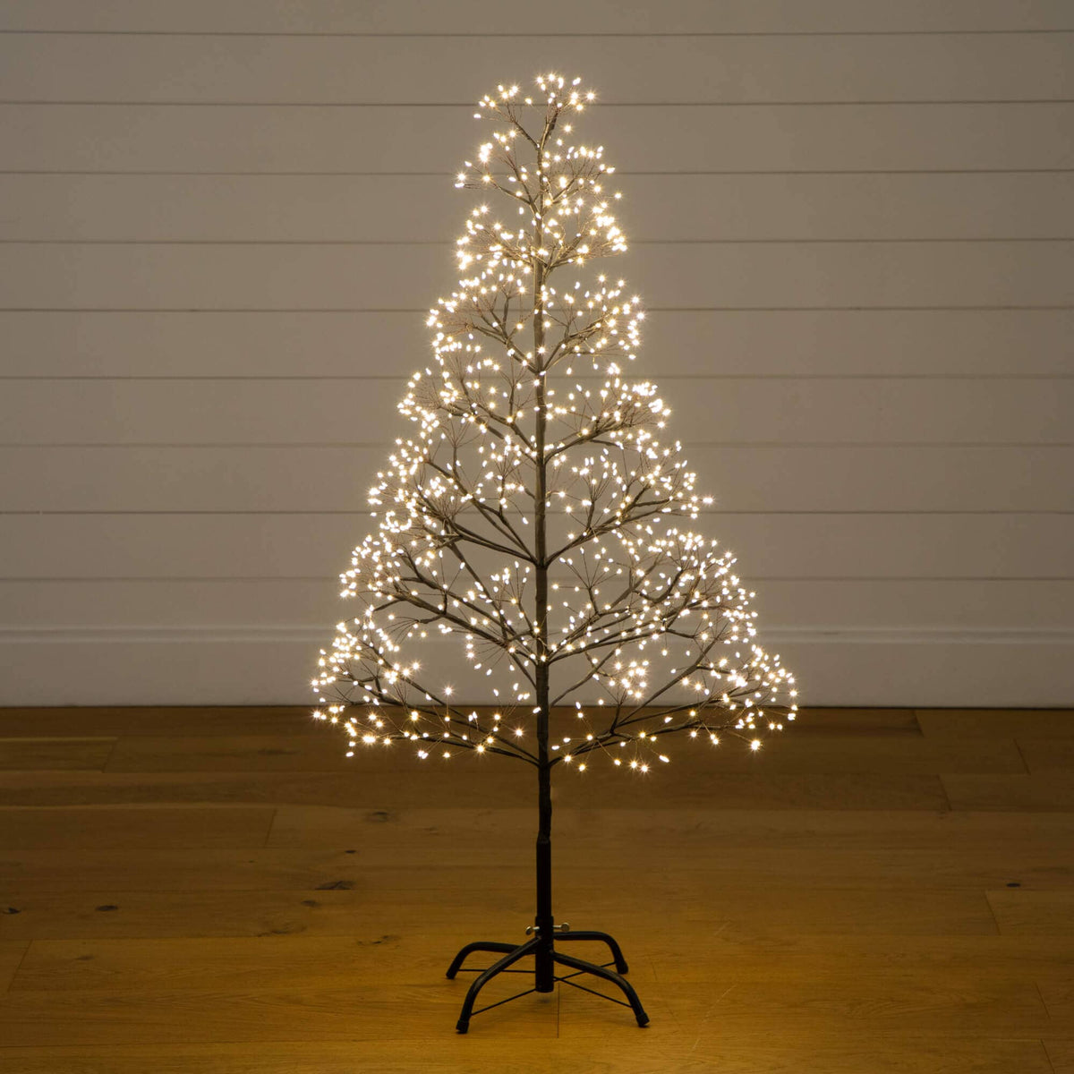 a small tree with lights on it