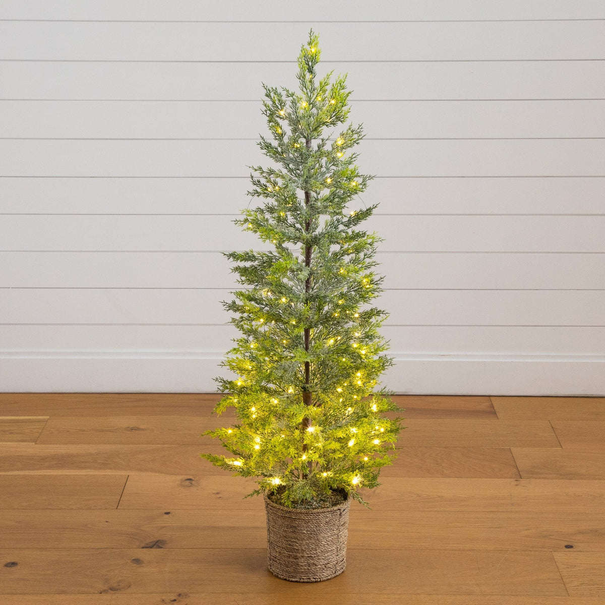 a small tree with lights on it