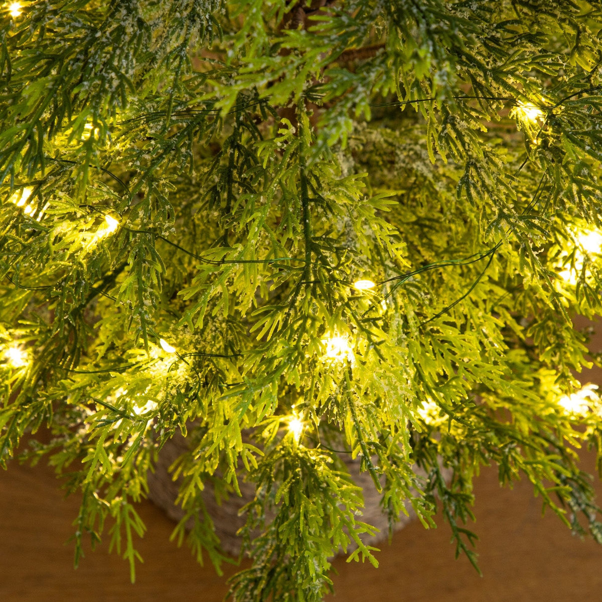 a green plant with lights