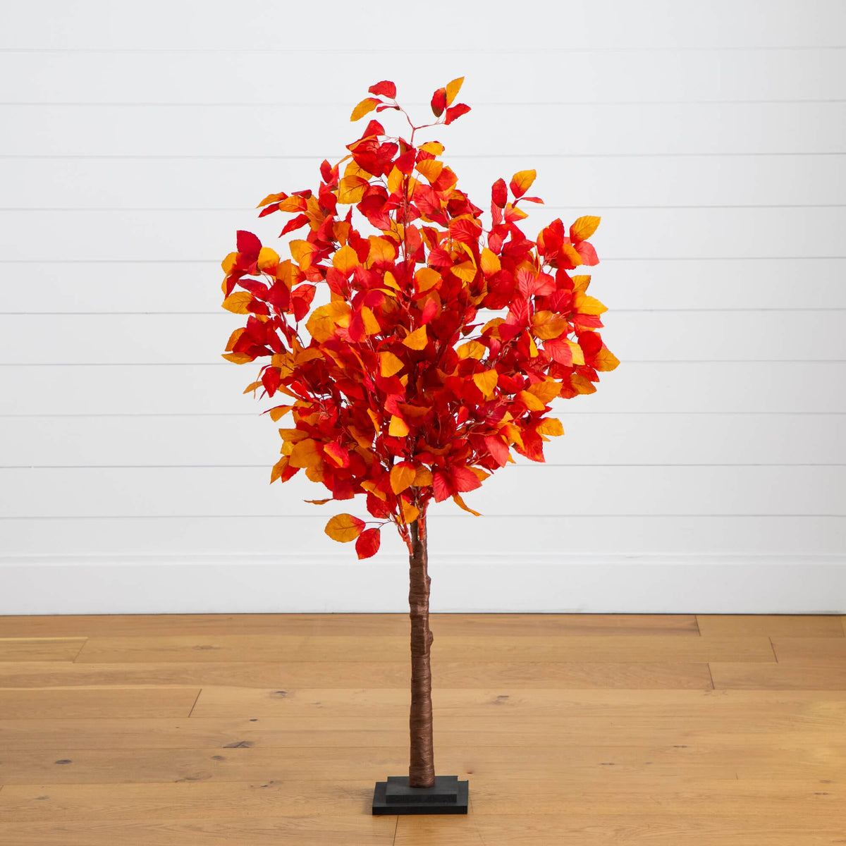 a tree with red and yellow leaves