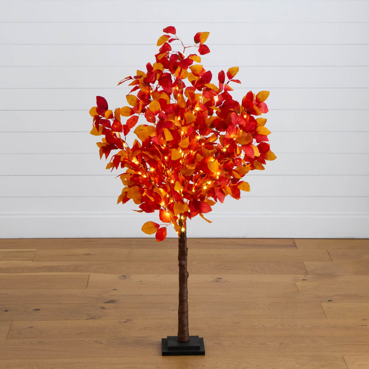 a tree with red and yellow leaves