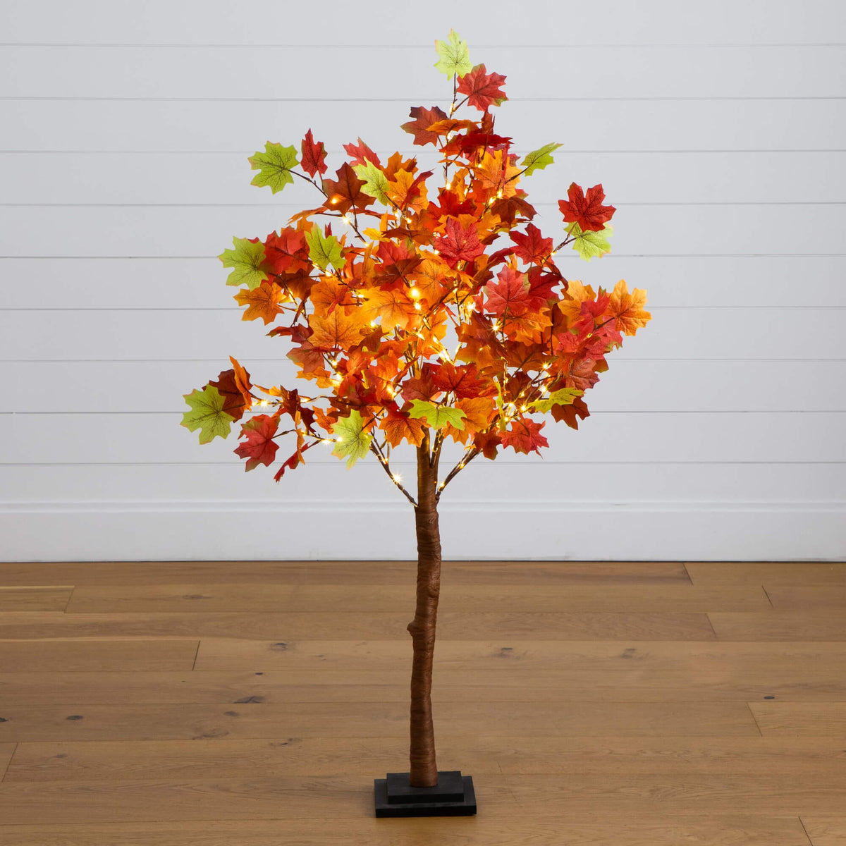 a tree with colorful leaves on it