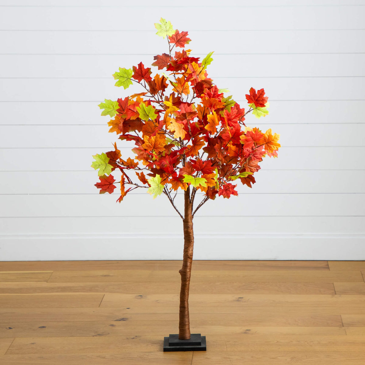 a tree with leaves on it