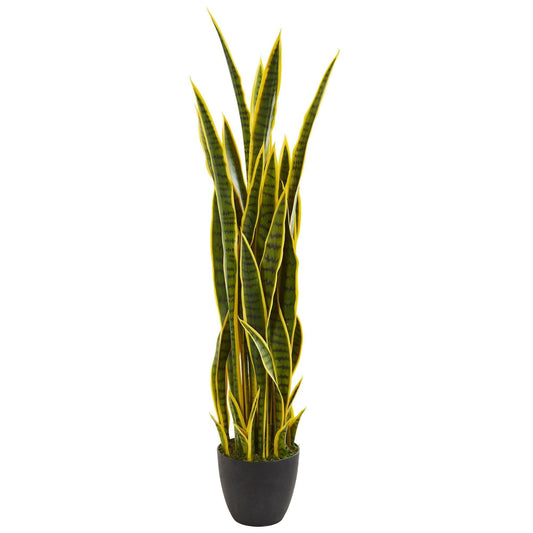 a potted plant with long leaves