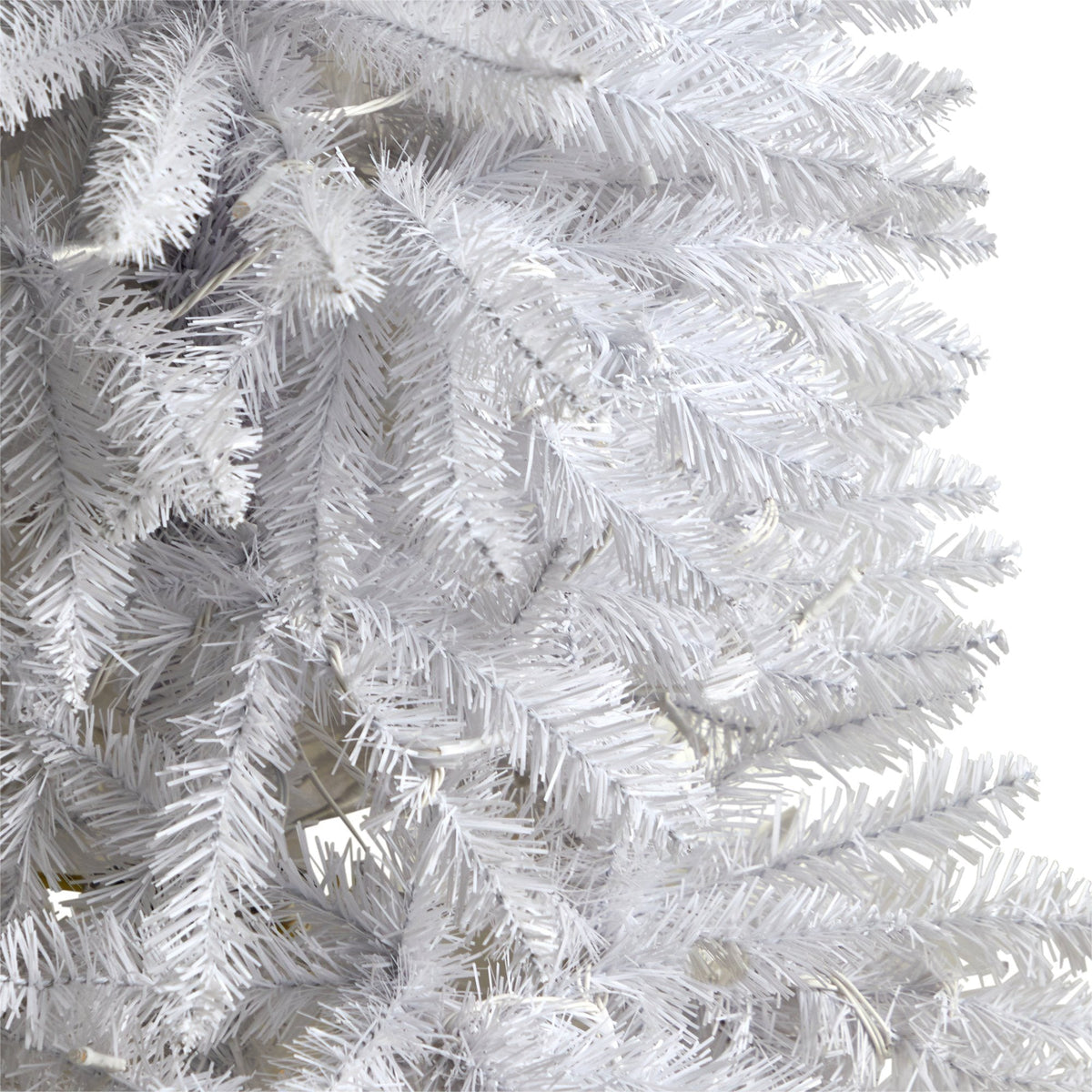a close up of a white tree