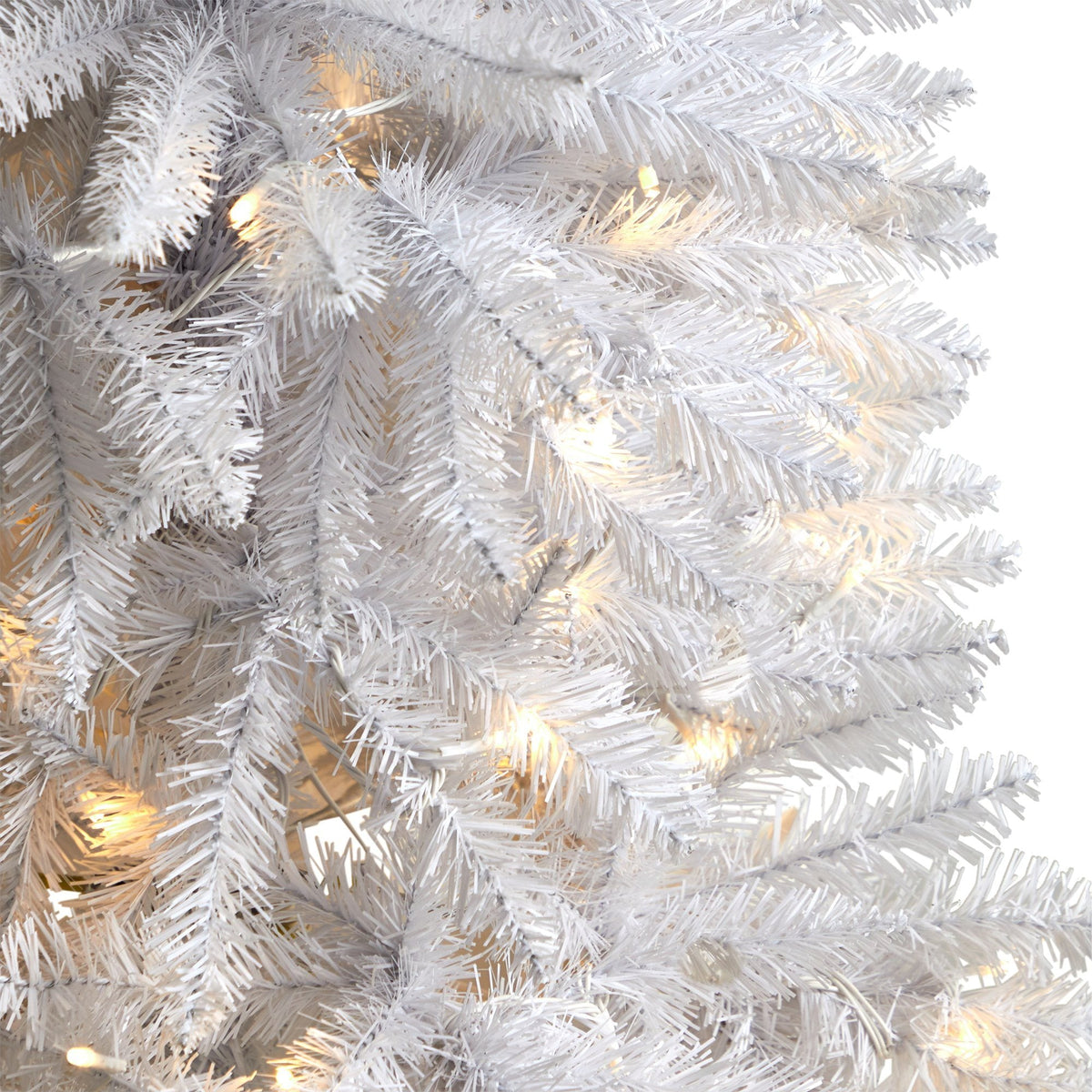 a close up of a white tree