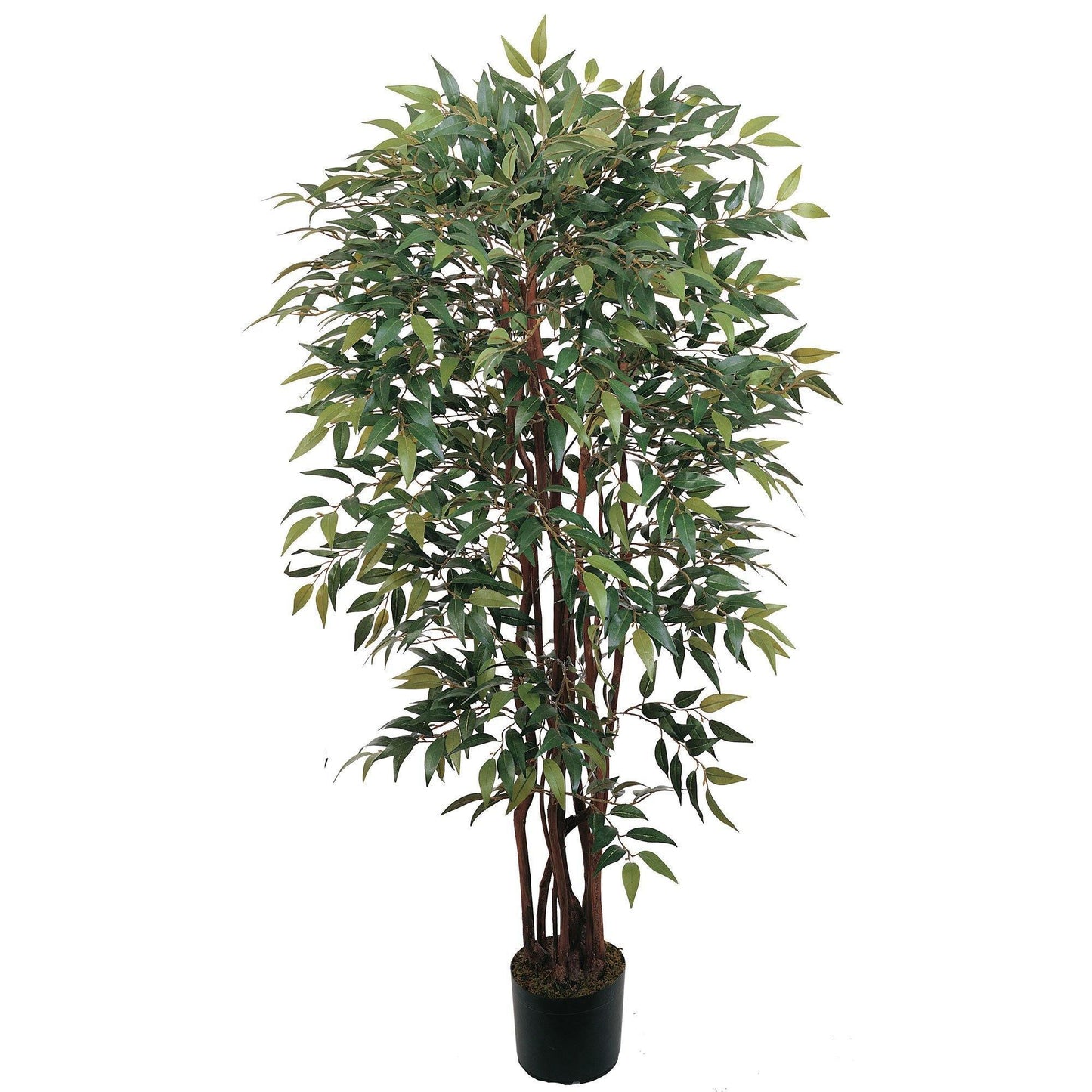 4' Smilax Silk Tree