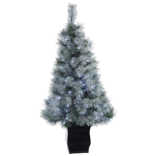 a christmas tree with lights