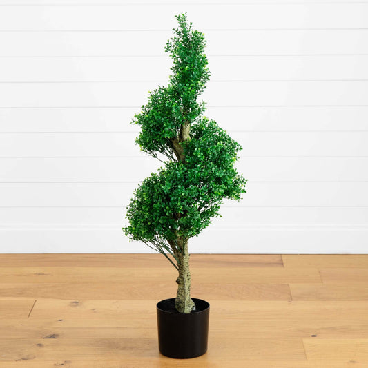 a potted plant on a wood floor